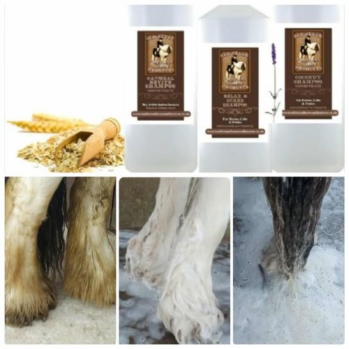 Mitey Feathers Spray & Shampoo Duo (4 options)